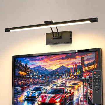 Battery Operated Picture Light for Wall,Matte Black 23.6-Inch