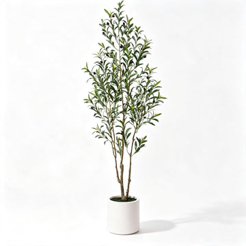 6FT Olive Trees Artificial Indoor with White Planter