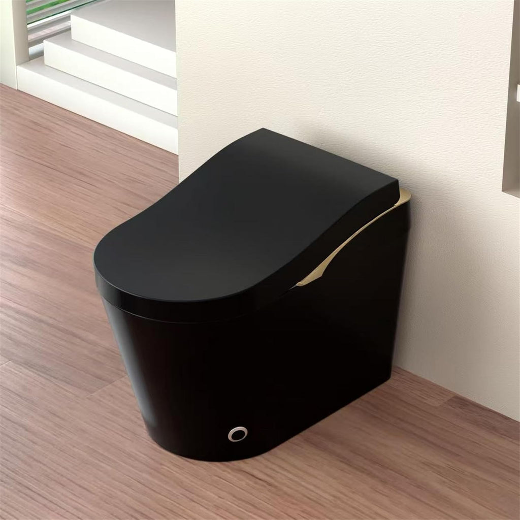 Modern Smart Toilet With Bidet, Auto Open Close, Heated Seat, Automatic Flush, Foam Shield, Warm Water And Dryer