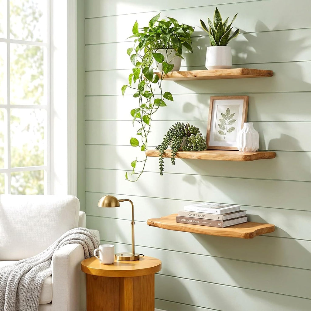 16" Live Edge Cedar Floating Shelves, Set of 2 | Each shelf measures approximately 15.75" W × 7.87" D × 1.25" H