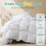 Twin Goose Feather Down Fiber Comforter - Ultra Soft All-Season Down Duvet Insert Fluffy Baffle Box 