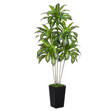 Dracaena Plant Artificial Tree 6Ft Tall Fake Tropical Floor Plants Potted (Real Touch) Artificial Silk Tree Leaf Faux