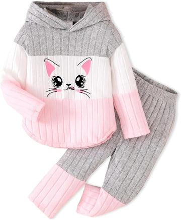 Toddler Baby Girl Clothes Fall Winter Outfits Long Sleeves Hoodie Top Sweatpants Set Sweatsuit 2Pcs