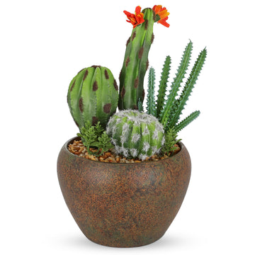 Assorted Artificial Cactus Plants Indoor - 5.9" Small Faux Succulent Cacti Plants in Pots Mini Fake Flowering Cactus