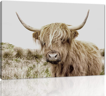 Modern Wall Art Attractive Animals Picture Black and White Background Canvas Highland Cow and Farmhouse Painting