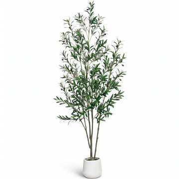 7FT Artificial Olive Tree with White Planter, Realistic Faux Olive Plant with Lifelike Olive Fruits, Tall Fake Potted