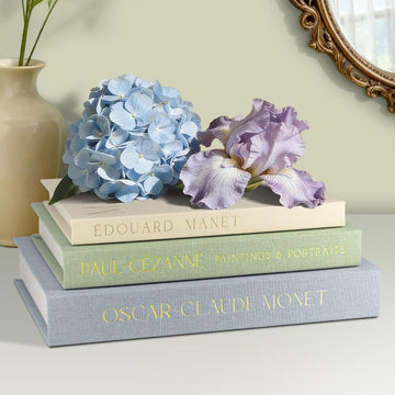 Decorative Books Decor, Set of 3 Faux Books, Coffee Table Decor | Hidden Storage Book Box for Bookshelf, Mantel &