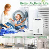 34 Pints Energy Star Dehumidifier for Spaces up to 2,000 Sq. Ft at Home
