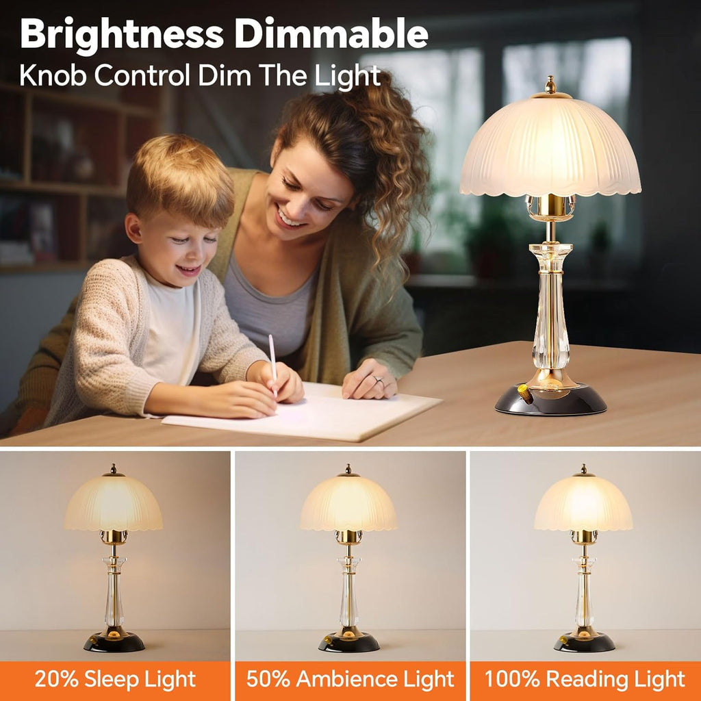 Crystal Table Lamp,Dimmable Bedside Lamp with ON/Off Switch Modern Glass Lamps Bedroom Living Room Decor (1PACK)