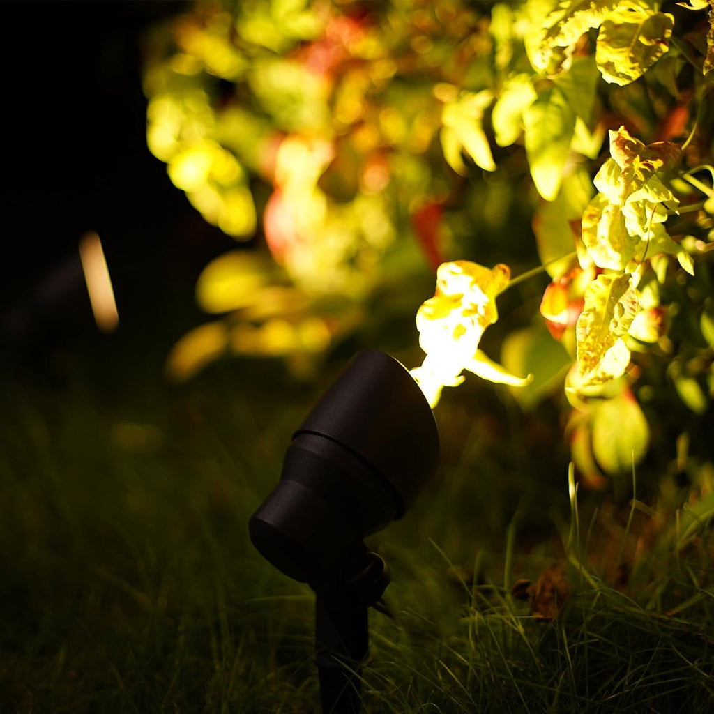LED Floodlight Low Voltage Landscape Lighting Outdoor Spotlight for Walls Trees Flags Decorative Light, 6 Watt 12V AC