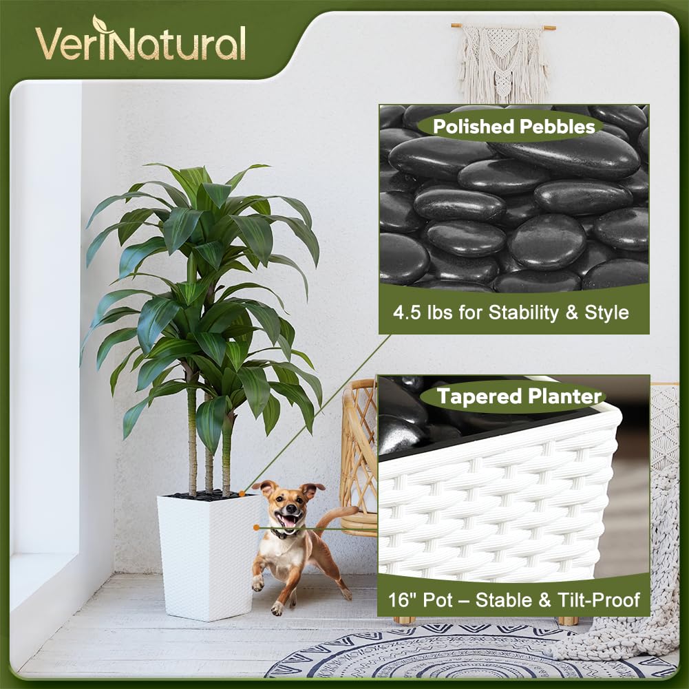 Artificial Dracaena Tree 5FT - Fake Tree with White Taper Planter & Pebbles - UV Resistant Faux Yucca Tropical Plant