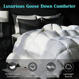 Goose Feather Down Fiber Comforter Queen, 100% Cotton Ultra Soft Fluffy Duvet Insert Queen