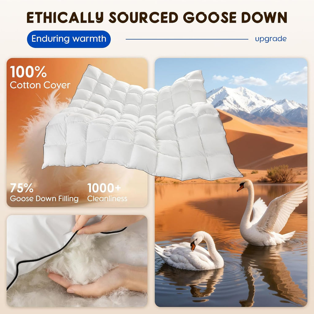 Luxury Winter Queen Down Comforter - 75% White Goose Down & 25% Feather Fill, RDS & Oeko-TEX Certifi