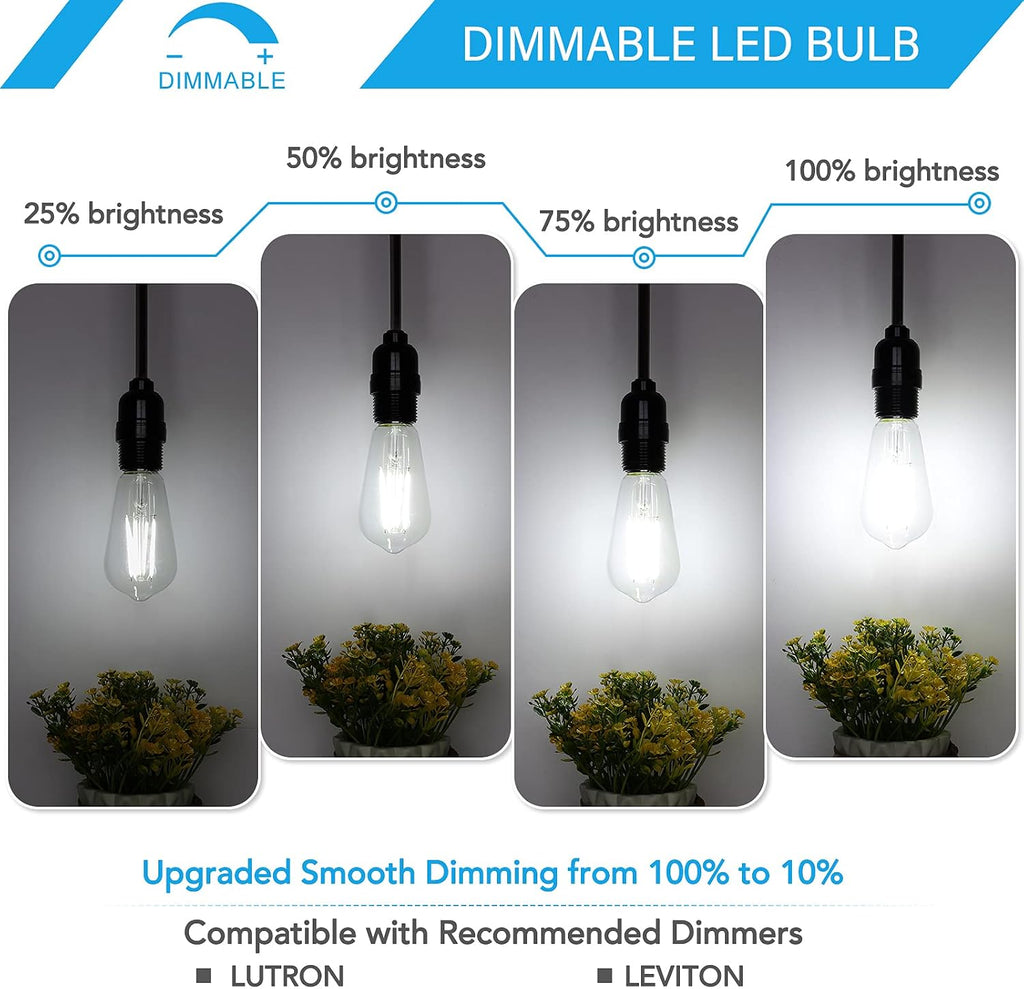 12-Pack Dimmable Vintage LED Edison Bulb 60W Equivalent, 6W 850Lumens Edison Light Bulbs 5000K, ST58 Antique LED
