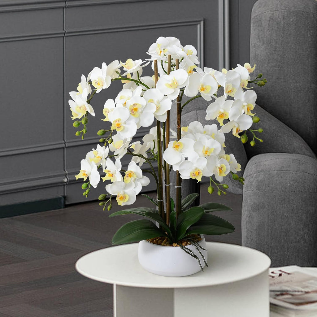 Artificial Orchid Flowers & Plants Potted in Ceramic Pot, White Faux Phalaenopsis Orchids for Table Centerpiece
