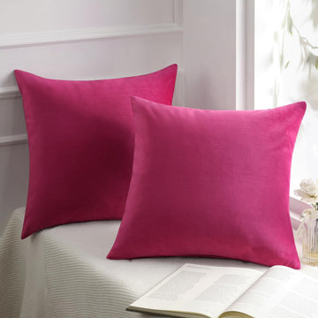 Pack of 2 Velvet Decorative Throw Decorative Pillow Cover Soft Solid Square Cushion Case for Couch Pink 20 x 20