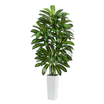 Artificial Dracaena Tree 7FT / White Planter, Tall Plants Indoor