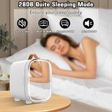 Mini Fridge for Bedroom Mirror Skincare Cooler & Warmer Portable Small Refrigerator 4 Liter/6 can with 12v AC/DC/USB