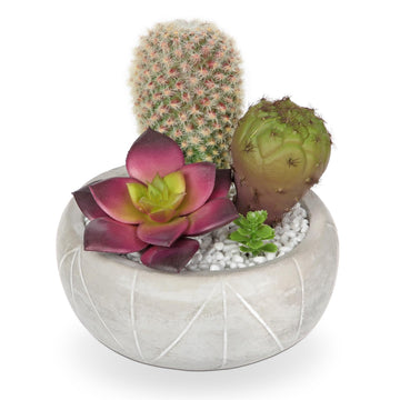 Cactus Plants Indoor, 5.5" Assorted Small Faux Purple Succulent in Pots Fake Potted Desk Plant with Concrete Bowl
