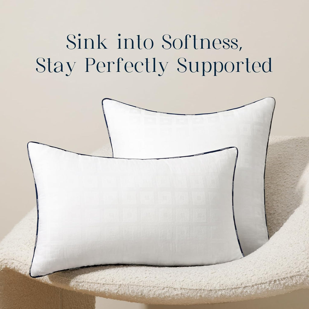 Throw Pillow Inserts with 100% Cotton Cover, 20x20 Inch, 1 Pack