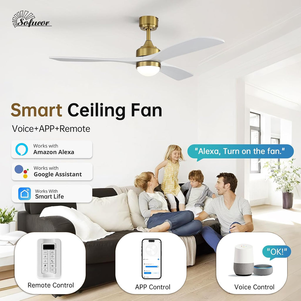 52" Smart Wood Ceiling Fans Lights, Flush Mount & Downrod Mount