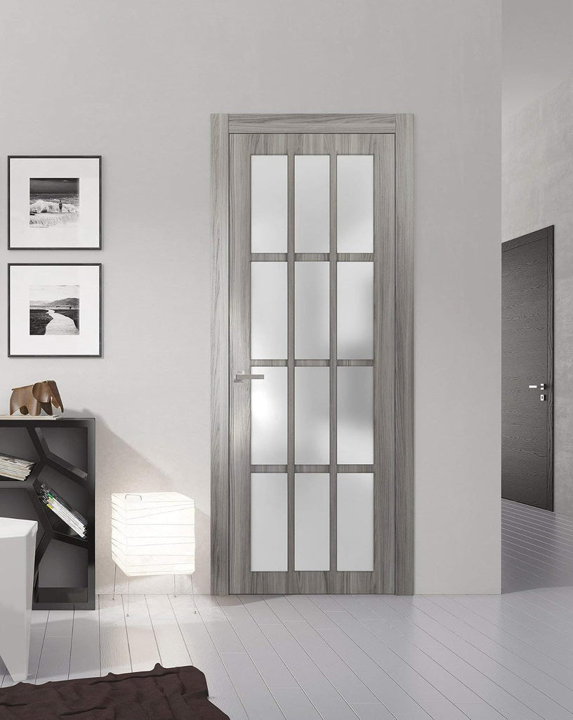 Slab Barn Door Panel Frosted Glass 12 Lites | Felicia 3312 Ginger Ash Grey | Sturdy Finished Doors | Pocket Closet