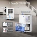 Energy Star Certified Dehumidifier for Home and Basement, Portable Dehumidifier with Drain Hose and Water Tank