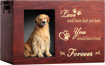 Pet Memorial Urns for Dogs or Cats Ashes with Photo Frame