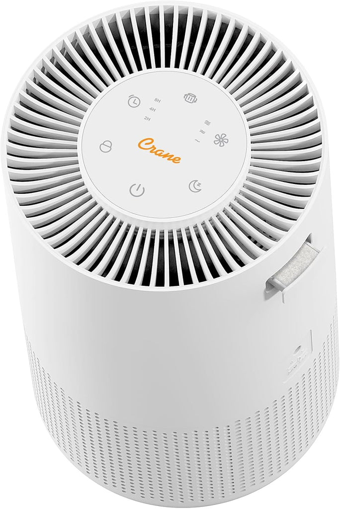 True HEPA Air Purifiers for Home, Up To 250 Sq Ft, Air Purifiers For Bedroom, and Office, Removes Dust, Smoke, Pet