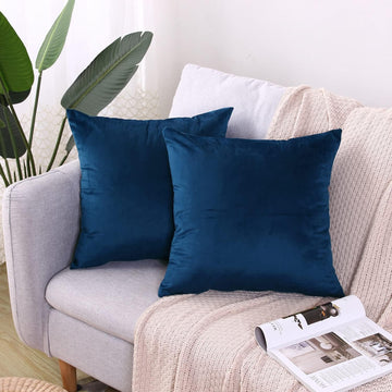 2 Pack Soft Velvet Couch Throw Pillow Covers 20x20 Inch