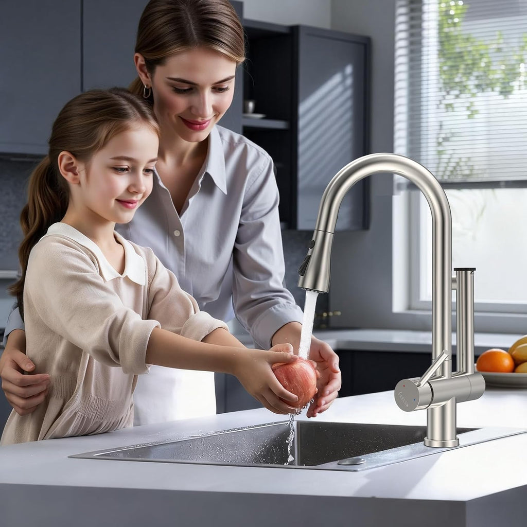 Kitchen Faucets with Filtered, Stainless Steel Filter Kitchen Faucet with Pull Down Sprayer Reduces Lead, Chlorine