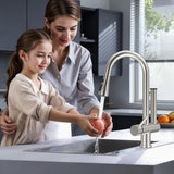 Kitchen Faucets with Filtered, Stainless Steel Filter Kitchen Faucet with Pull Down Sprayer Reduces Lead, Chlorine