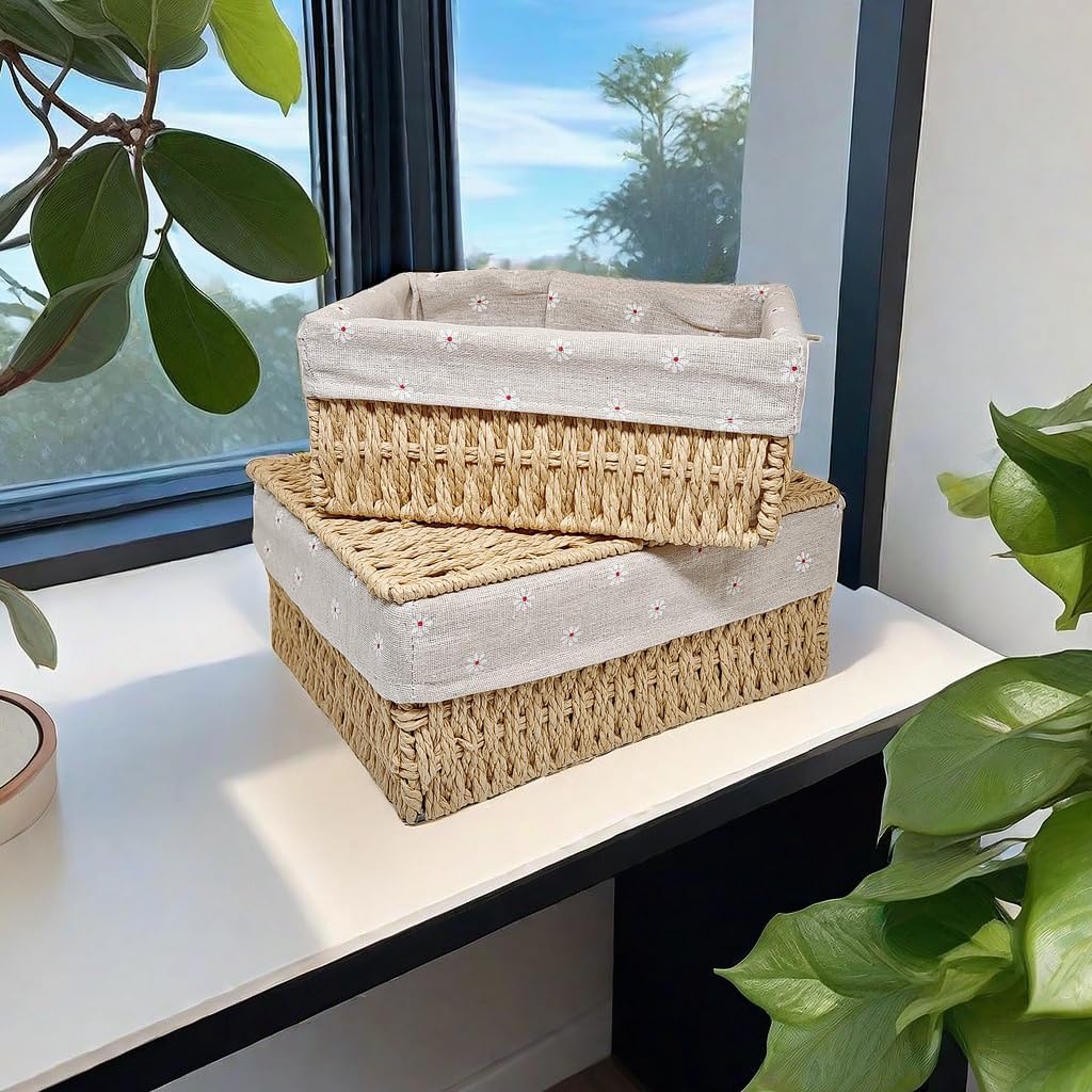 Small Wicker Storage Baskets with Lid/Liner Woven Cute Decorative Boxes | Boho Paper Rope Baskets for Shelves