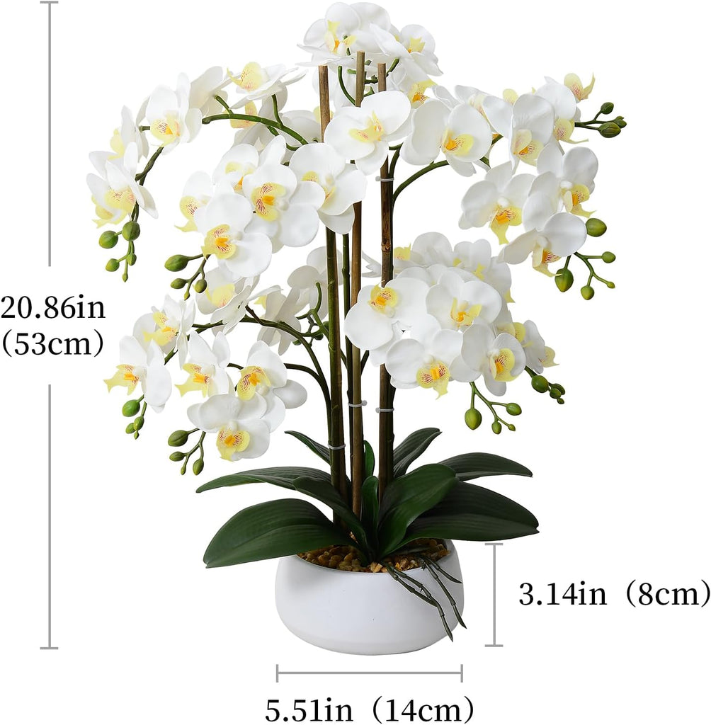 Artificial Orchid Flowers & Plants Potted in Ceramic Pot, White Faux Phalaenopsis Orchids for Table Centerpiece