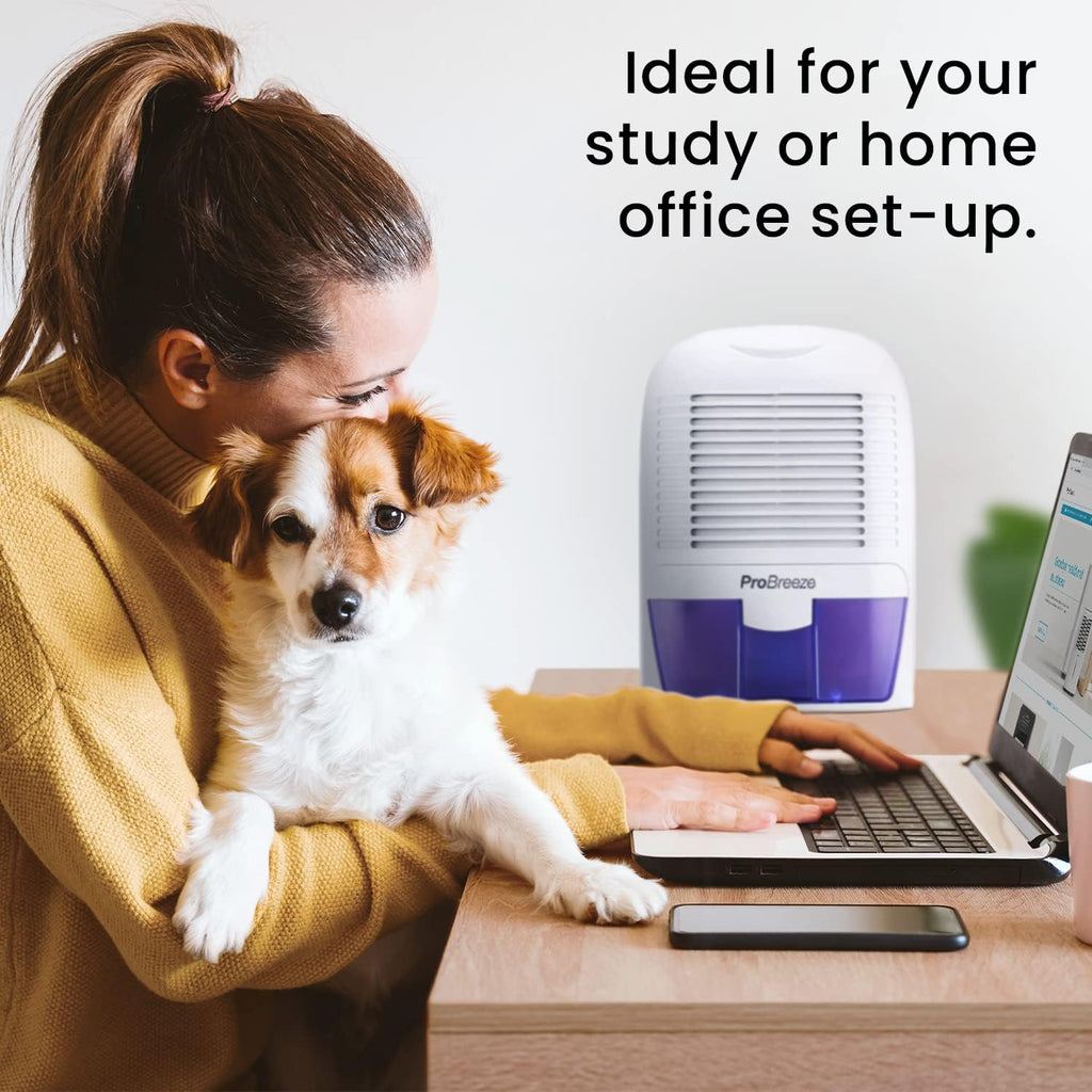 Electric Mini Dehumidifier, 2200 Cubic Feet (250 sq ft), Compact and Portable for High Humidity in Home, Kitchen