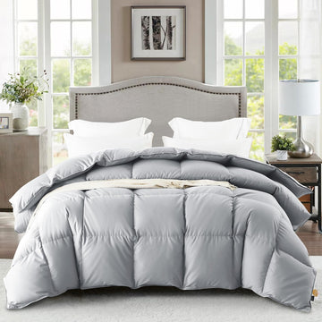 Queen Down Comforter, Luxurious All-Season Duvet Insert with noiseless Skin-Friendly Tencel Blend Cover, Cloud-Soft &