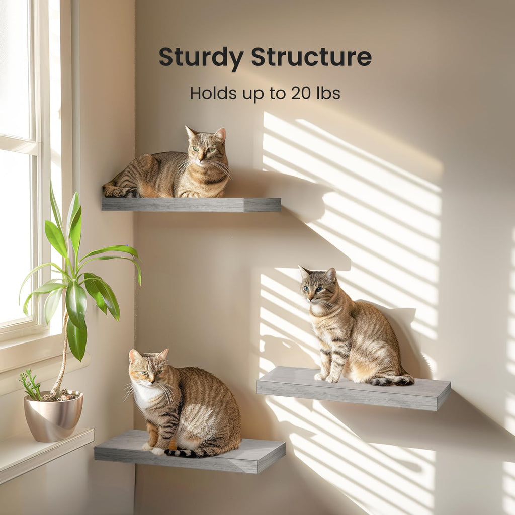 15.7" Floating Shelves for Wall Decor & Storage, Set of 3, Gray