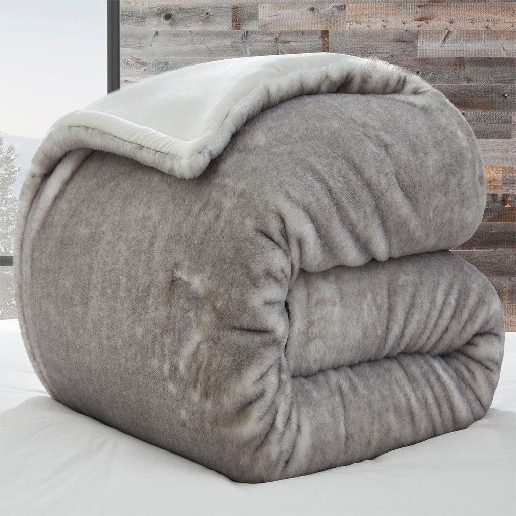 Fox in The Coconut Tree - Coma Inducer King Oversized Comforter Set | Frosty Gray Coconut. Experience Coma Worthy
