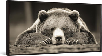 Grizzly Bear Wall Art Brown Animal Canvas Print with Black Floater Frame Rustic Woodland Decor Bedroom Cabin