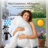 Goose Feather Down Fiber Comforter King - 100% Organic Cotton Shell All Season Duvet Insert