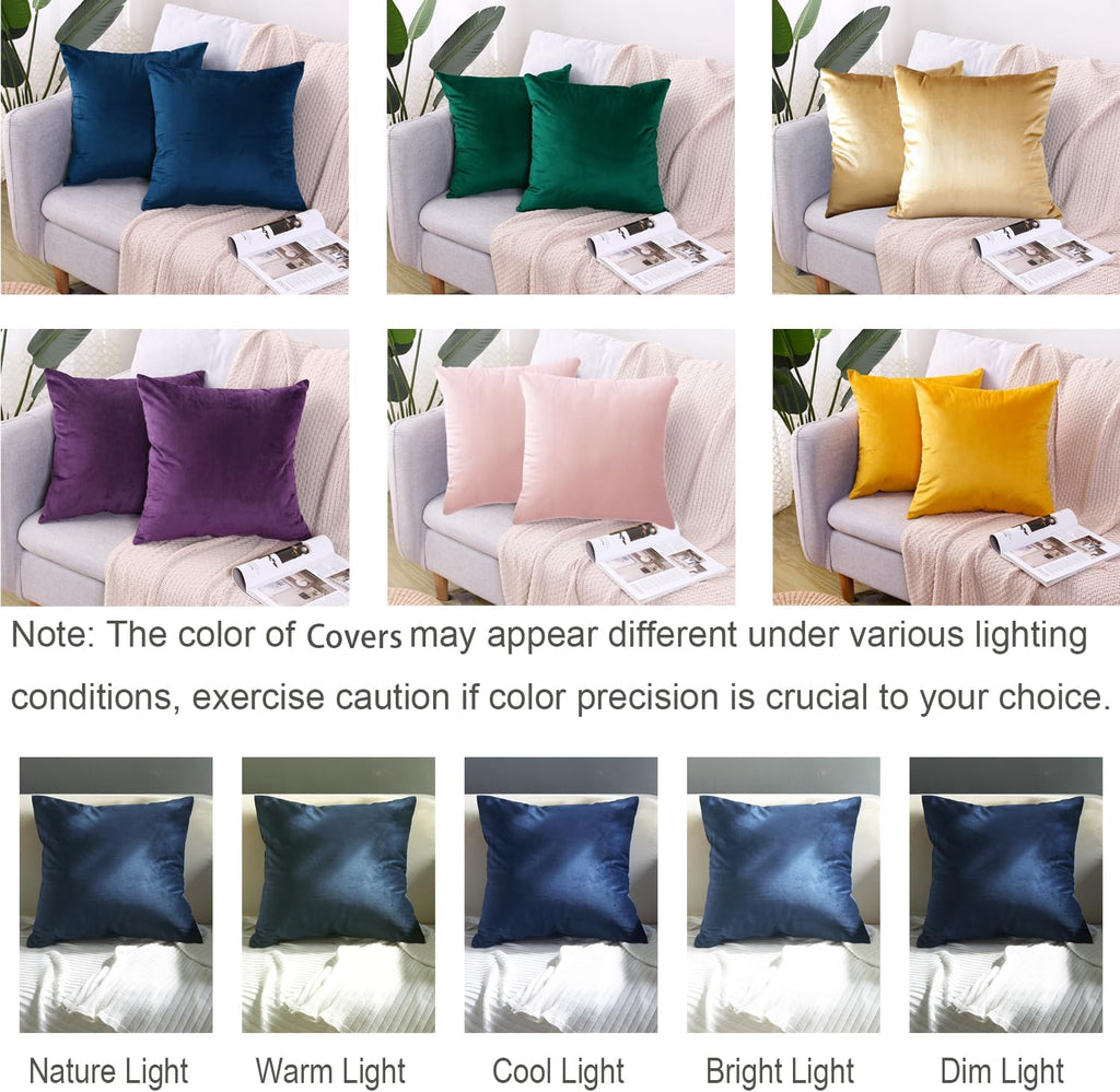 2 Pack Soft Velvet Couch Throw Pillow Covers 20x20 Inch
