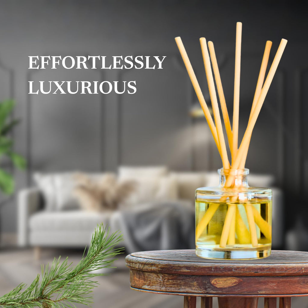 Reed Diffuser Set - Balsam Fir & Cedar Scent - 4 oz