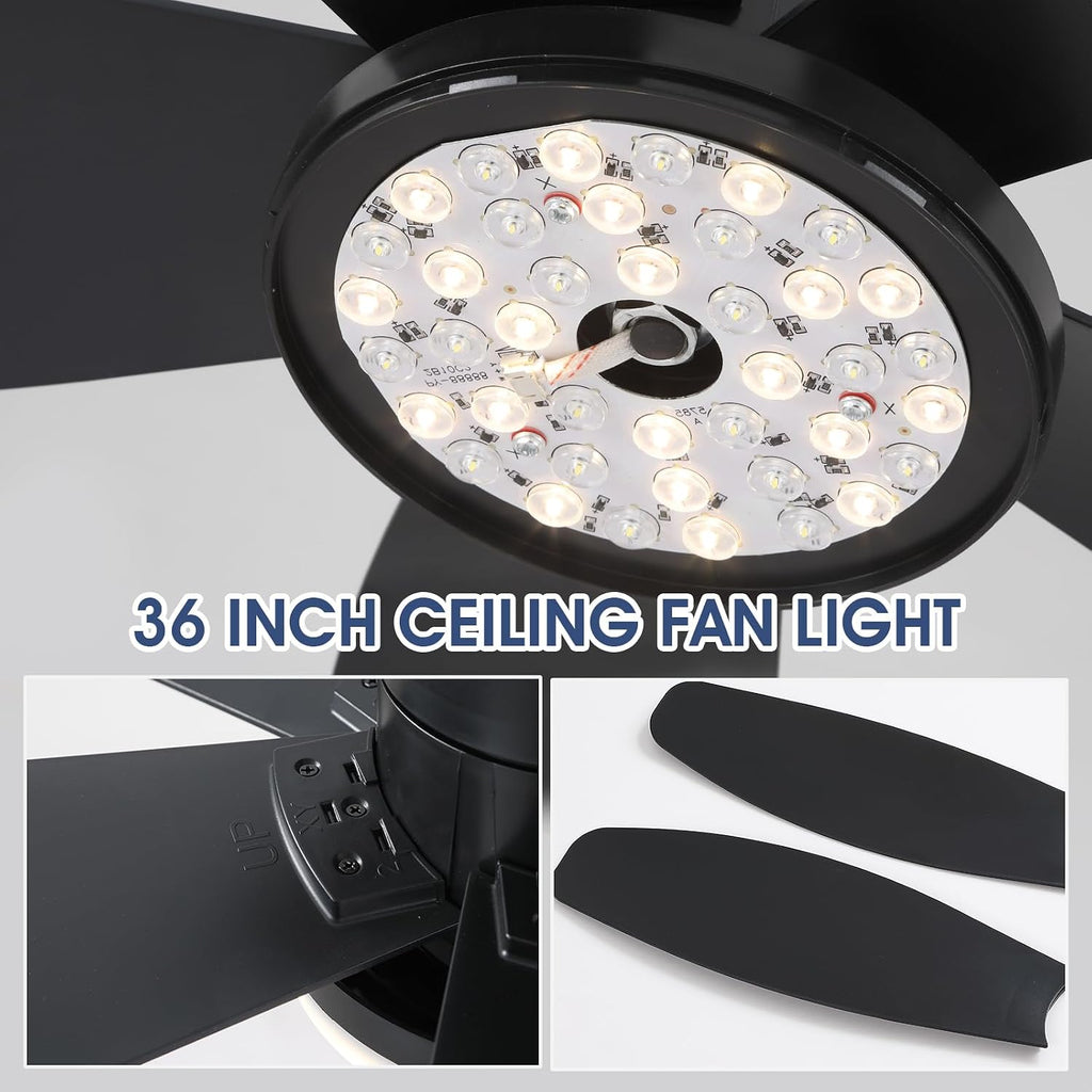 Flush Mount RGB Ceiling Fans with Lights-36 Low Profile Ceiling Fan with Light and Remote/APP Control,DC Reversible,LED Dimmable Black Ceiling Fans for Bedroom,Indoor/Outdoor Patio Use