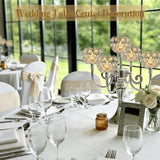 5 Arm Metal Crystal Candelabra Centerpiece - 13.4 Inch Elegant Candle Holder with Crystal Beadsation (2, Silver)