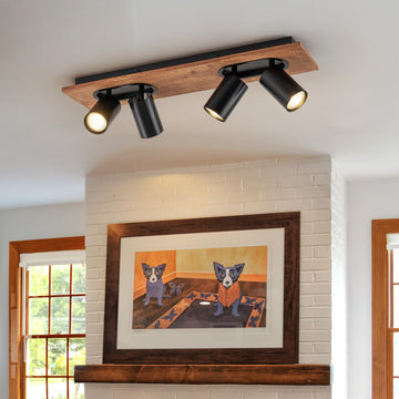 Modern Black Track Lighting Fixtures, 4-Light Indoor Spotlight