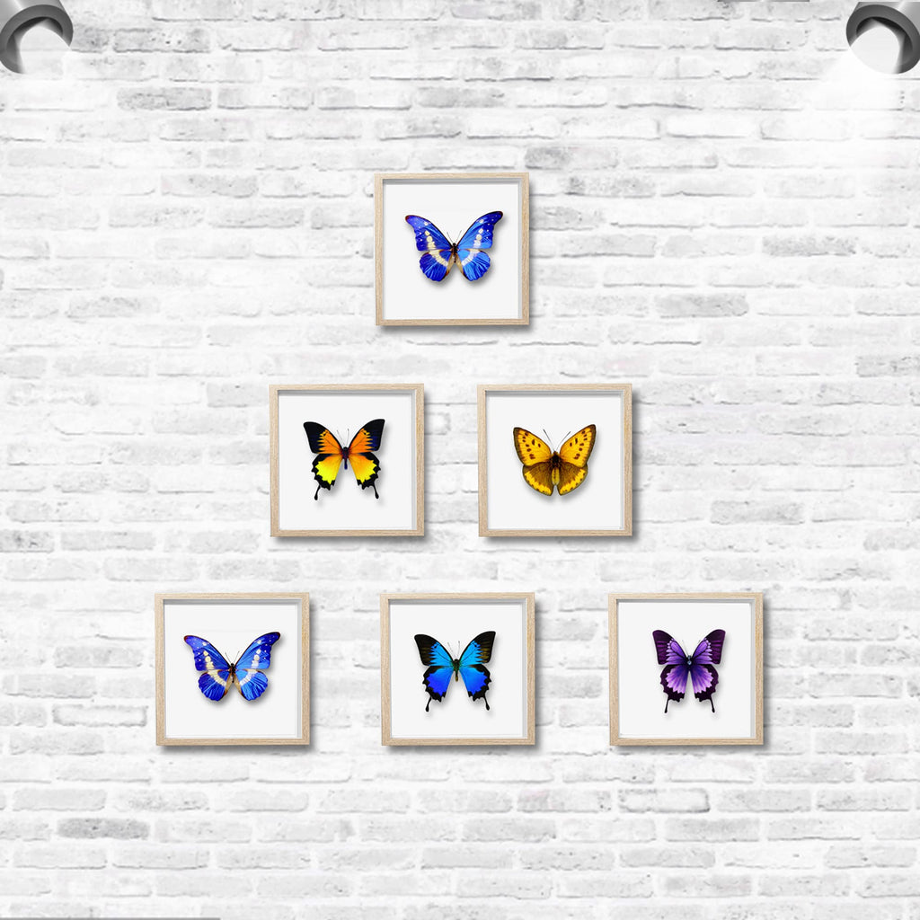 5x5 Small Shadow Box Frame Display Case, Display Case Box for Memorabilia, Medal, Wedding Memories, Crafts, Tickets