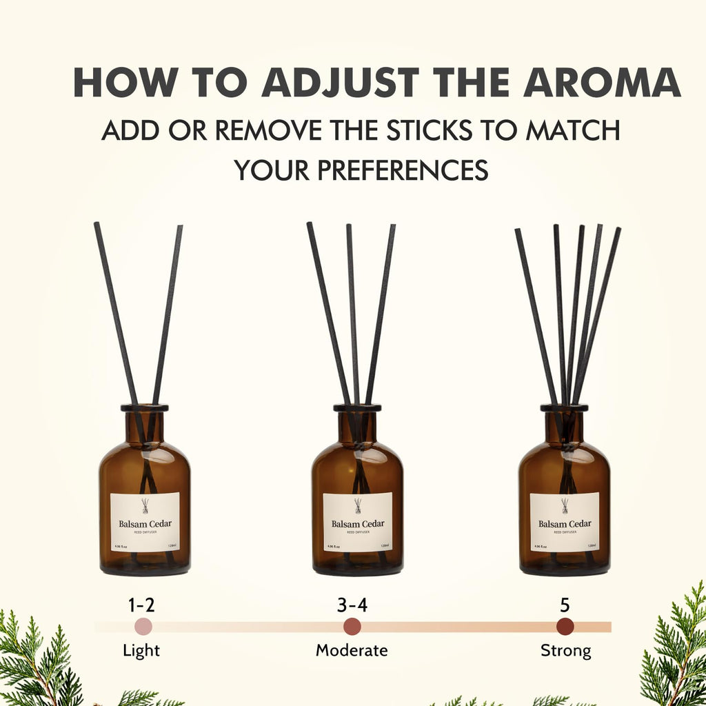 Balsam Cedar Reed Diffuser Set - Includes Reed Diffuser Sticks, 2 Pack Fragrance Oil and Glass Bottle, Reed Diffusers