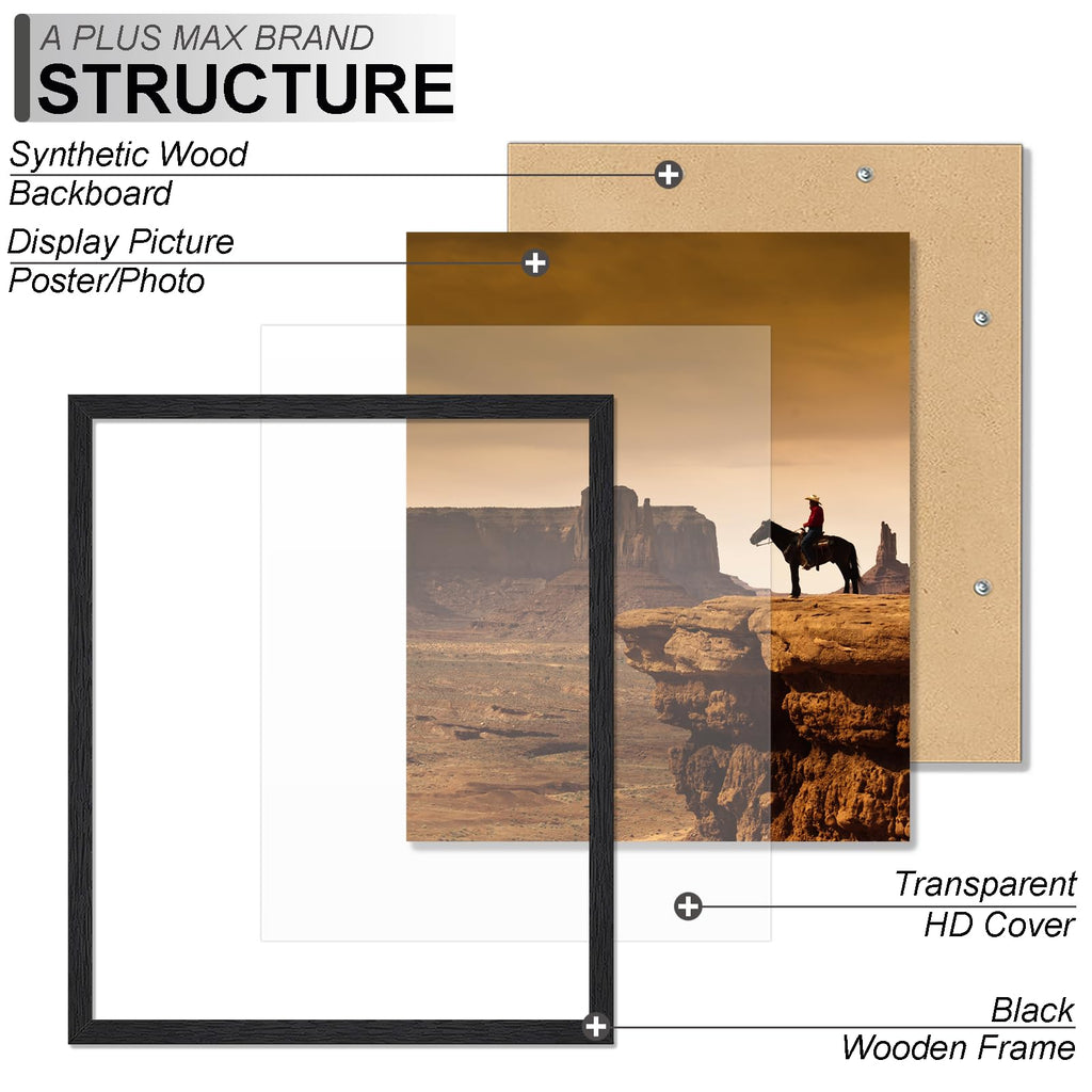 16x20 Picture Frame Black Light Weight Wall Mount