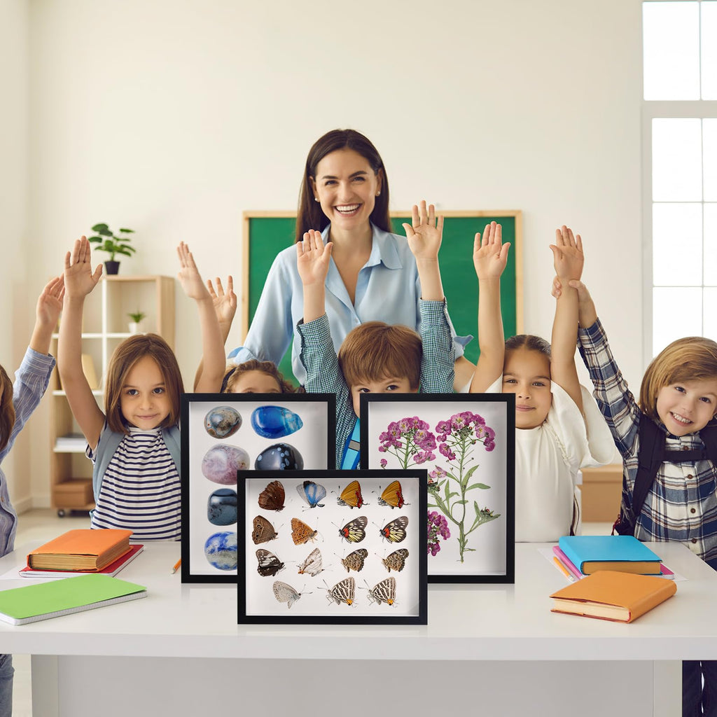 16 Pack 11 x 14 Inch Shadow Box Frame Display Cases, Black