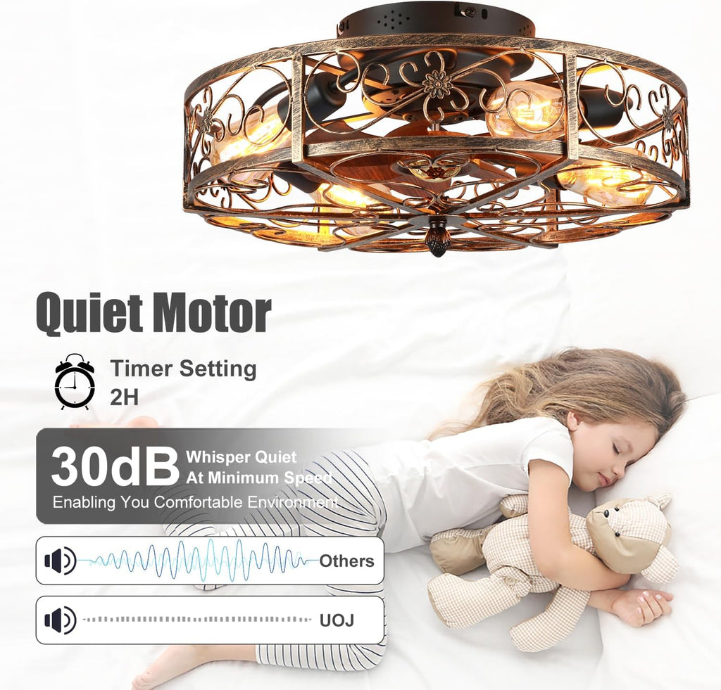 20'' Caged Ceiling Fan with Lights and Remote Control,Small Farmhouse Bladeless Low Profile Ceiling Fans Lights